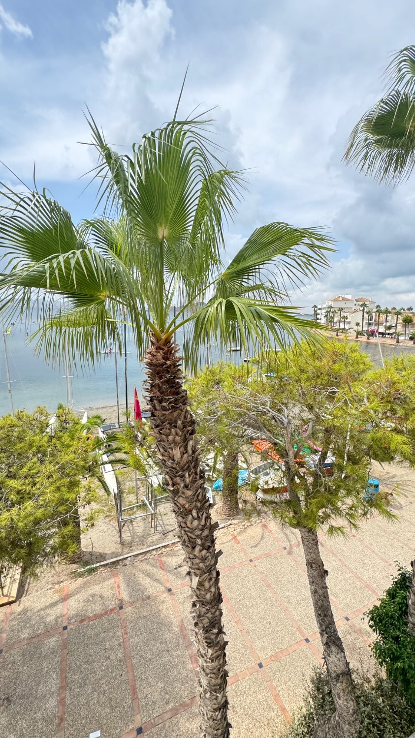 Rækkehus til salg i Playa de las Gaviotas-El Pedrucho (La Manga del Mar Menor)